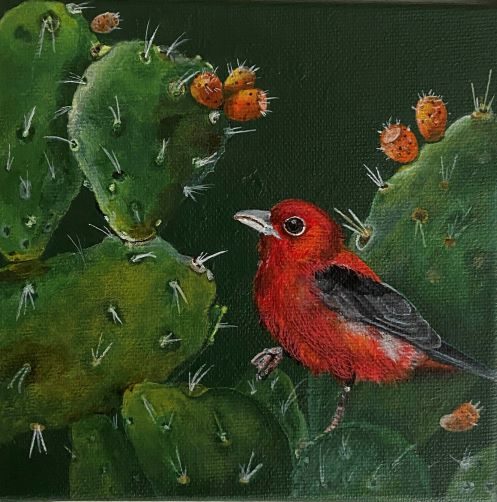 Harika Musal Çakmaklısoy, Kaktüs II / Cactus II