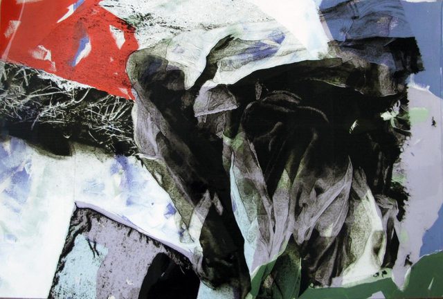 Ceyda Güler, x-1369